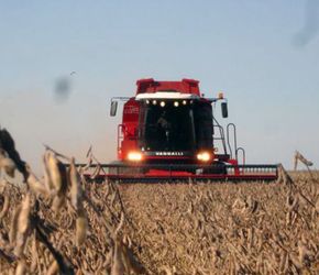 “Dólar soja”: fuertes críticas del agro a la medida del Banco Central