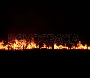 Gran incendio de pastizales en el Parque  Borchex