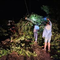 Fuerte temporal azotó a Junín y la Región