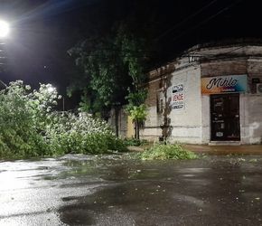 Juninense murió tras el vuelco de una casilla rural