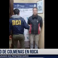 Robo de colmenas en Roca