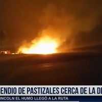 INCENDIO DE PASTIZALES CERCA DE LA DEPURADORA