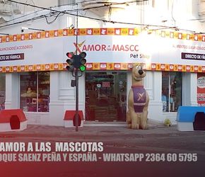 X amor a las mascotas