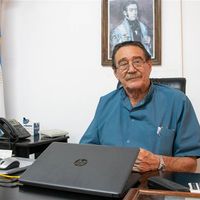 Dengue: confirman dos casos en Junín