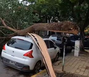 Olas de calor, sequías y tormentas fuertes afectan a Junín y el país