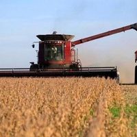 Satisfacción por la baja permanente de las retenciones, aunque se espera mayor incentivo