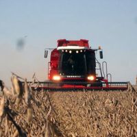 “Dólar soja”: fuertes críticas del agro a la medida del Banco Central