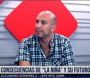 Entrevista a Alejandro Signoreli