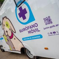 Desde el Municipio implementan ordenanza que permite hacer castraciones al animal callejero