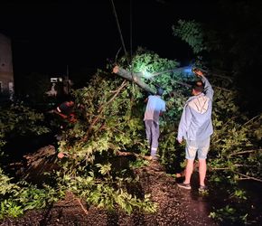 Fuerte temporal azotó a Junín y la Región