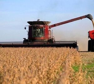 Satisfacción por la baja permanente de las retenciones, aunque se espera mayor incentivo