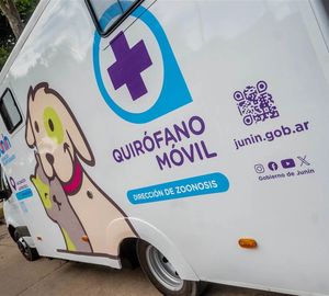 Desde el Municipio implementan ordenanza que permite hacer castraciones al animal callejero