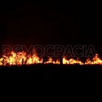 Gran incendio de pastizales en el Parque  Borchex